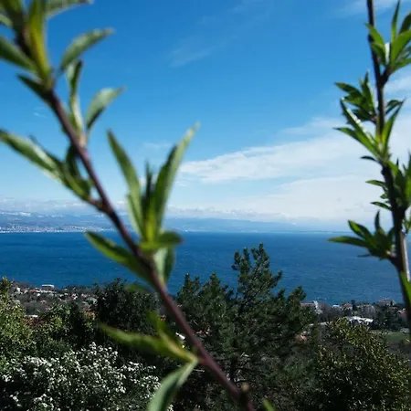 Apartmán Cvita - Cozy With An Amazing View *